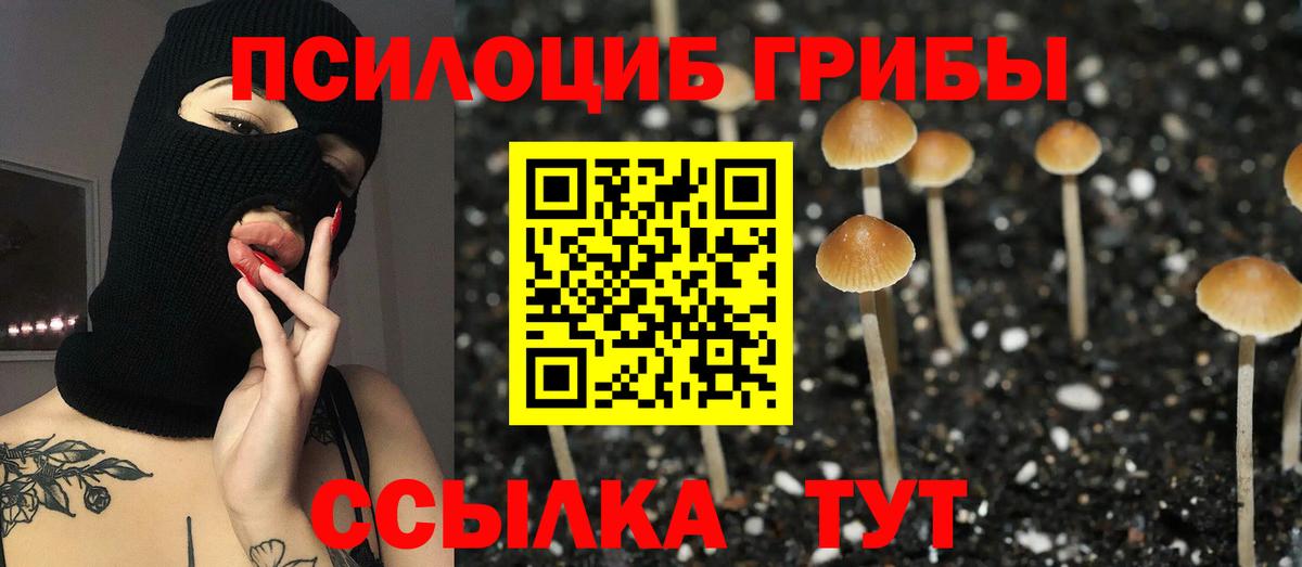 Псилоцибиновые грибы Cubensis  Вход с VPN  Ачинск 